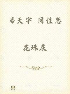 马天宇 同性恋